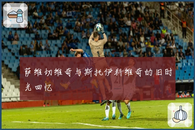 萨维切维奇与斯托伊科维奇的旧时光回忆